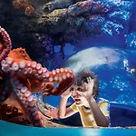 Holiday Inn Express San Diego SeaWorld